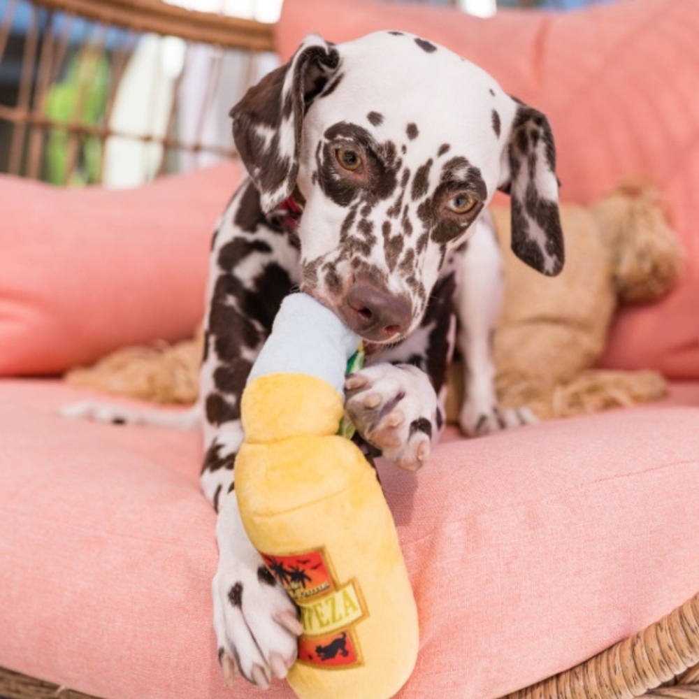 NEW Tropical Paradise Plush Dog Toy - Canine Cerveza